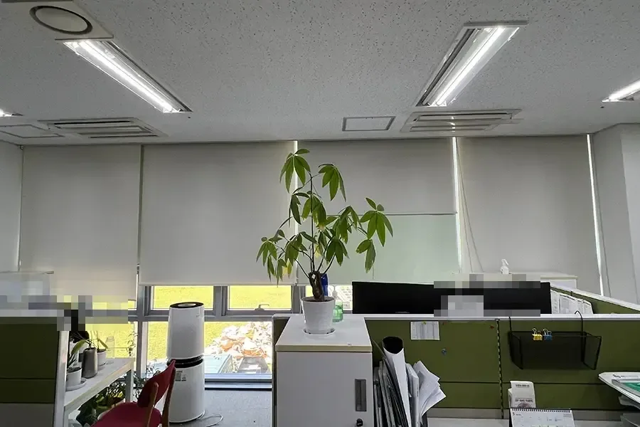 세종 교육기관 건물 실내 창가 창문사생활보호필름 시공 결과